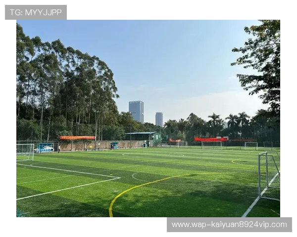 爱游戏买球网站丰富的赛事选择，涵盖足球篮球等多项热门体育项目